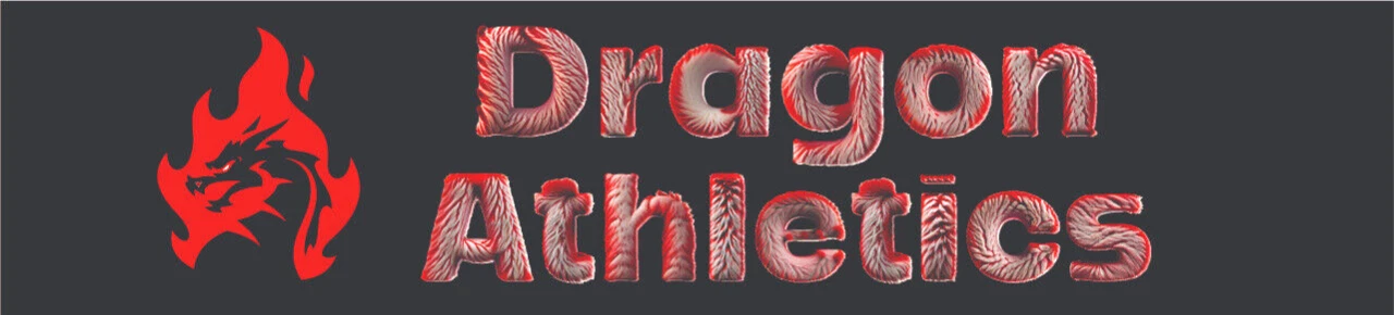 SWOOSH Banner