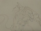 Foto 4 di 4