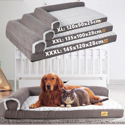 katzenstreu fr urinprobe Urintest fr Katzen fr zuhause