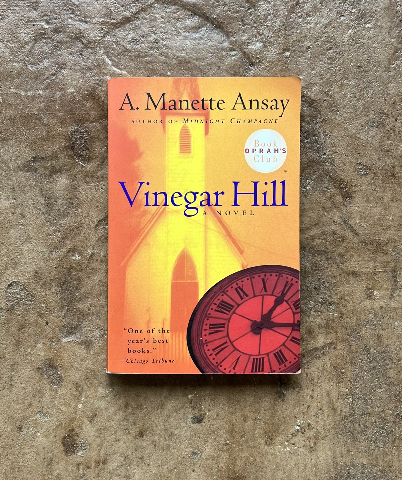 Vinegar Hill By A. Ansay 1998 Paperback eBay