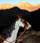 Johnny West Marx breyer Horse Orange  leather bridle