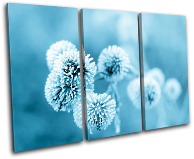 Dandelion Floral Ice Flower Plant Canvas Art Picture Print Decorative Photo Wall