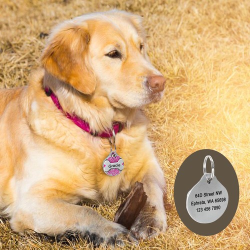 Medaille gravée personnalisée avec nom pour chien chat Acier Gravure medaillon - Picture 9 of 17