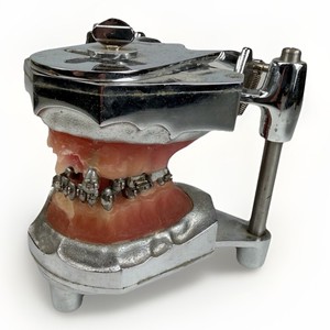 Antique 1940s Orthodontist Dentist Teeth Columbia Dentoform Articulator W Braces