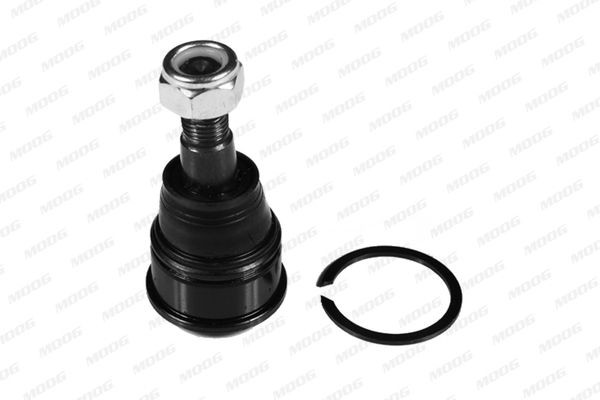 Rotule de suspension HO-BJ-10556 MOOG pour la réparation et le contrôle technique de Honda
