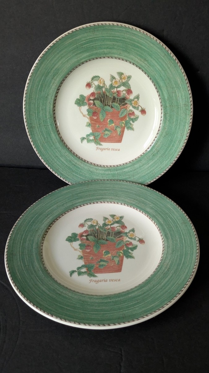 Set Of 2 Wedgwood Sarahs Garden Green Salad Plates Excellent