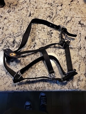 Centaur Breakaway Halter