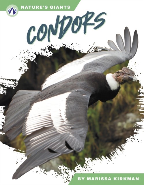 Condors by Marissa Kirkman (Hardback Book)