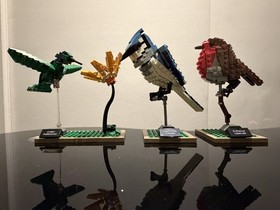 🐦 LEGO Ideas Birds 21301 Complete Robin Blue Jay Hummingbird Instructions 🐦 