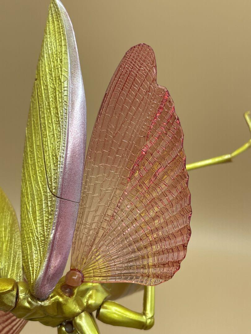 【aviso gold】PRAYING MANTIS 5'6 TINT Mantis Ring — Seth Michael Studio