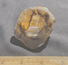 Montana Agate Rare Unusual Multi Colored Patterns Amazing Nodule Slab 38 Grams 