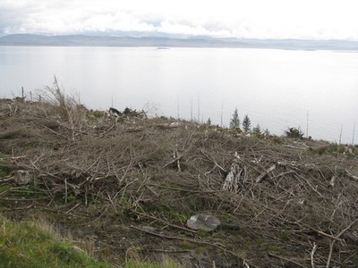 Photo A2 Deforestation of Jura Lagg/NR5978 Clear felling of coniferous  c2014