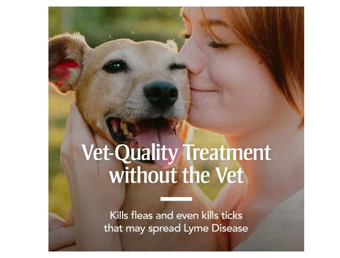 家用地毯粉适用于跳蚤和蜱虫,保护您的家免受跳蚤的侵害,除臭 — 第 3/4 张图片