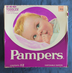 Pampers Day & Night Toddler Disposable Diapers, Over 23 lb, 12 Ct, Quilted