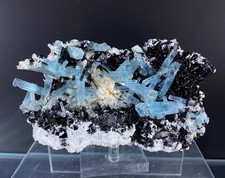 392g Rare Natural aquamarine cluster quartz Crystal Mineral Specimen Namibia
