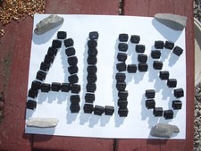 ALPS KEYSWITCHES: SKCM BLACK TACTILE LOT-OF-TEN SWITCHES  12.00  5.25 S/H