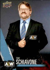 2021 Upper Deck All Elite Wrestling AEW Base Singles (Pick Your Cards)