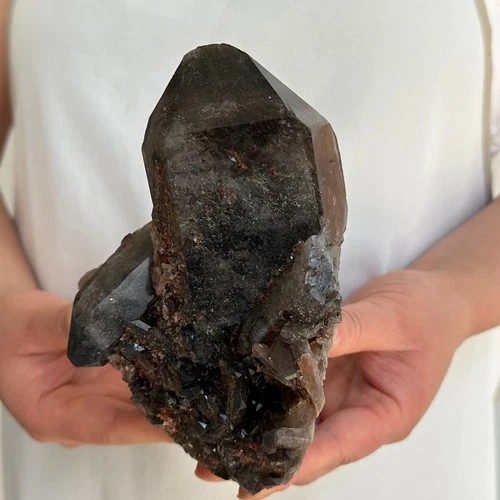 1361G Natural Beautiful Black Quartz Crystal Cluster Mineral Specimen