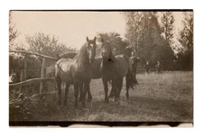 Horses and Men in a Field Real Photo Postcard RPPC Unposted Carte Postale