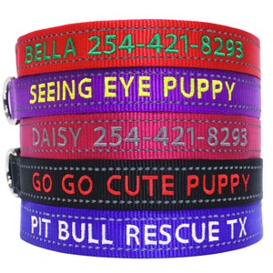 puppy collars ebay