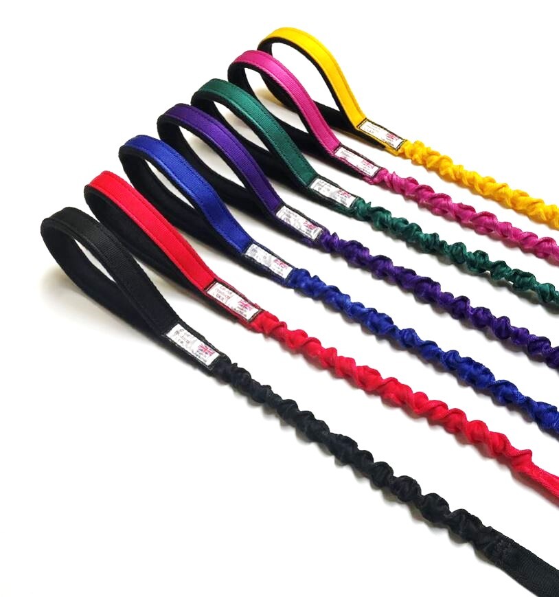 Guinzaglio per Cani 45" con Cordino Elastico Elastico Ammortizzatore Manico Imbottito 19 Colori foto 2