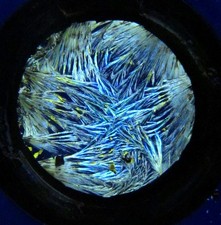  on The Hot Collector