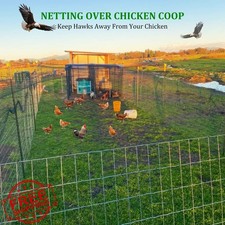 CITOOTY Bird Netting 25x50 Ft Poultry Netting 2.4" Mesh 0.70 per foot