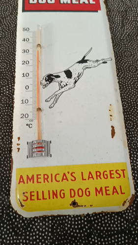 Vintage KEN-L RATION dog Feed Thermometer Tin merchandise 1950 No Porcelain - Video 1 of 1