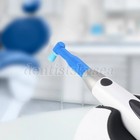 Foto 11 di 11