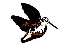 ADESIVO Beccaccia Scolopax Rusticola Hunting Stickers woodcock caccia setter