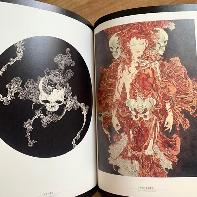 Rib of a Hermaphrobite Takato Yamamoto Artworks Book Aestheticism
