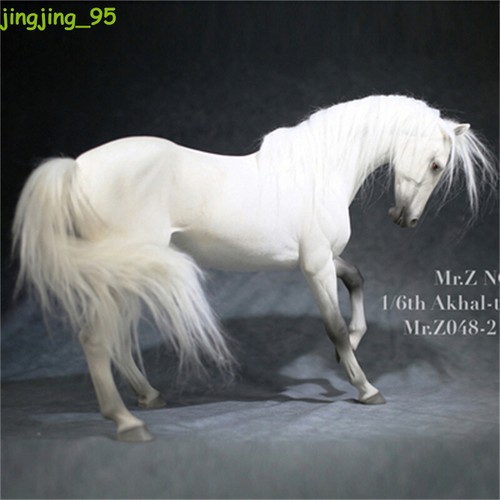 1/6 Scale Animal Resin Simulation Toy Akhal-Teke Horse 6 Color Model Figure Gift - Picture 2 of 31