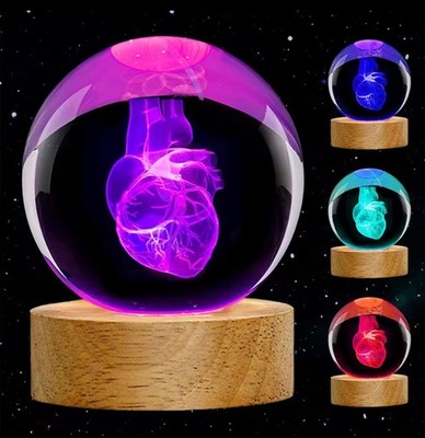 Human Heart 3DCrystal Ball Light Glass Ball Statue Hospital Education Decoration