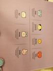 BT21 Woobles Donut Kit Completed In Box — photo 4