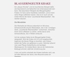 Bild 10 von 11