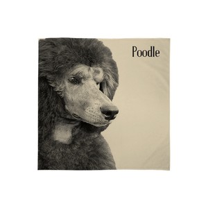 poodle throw blanket