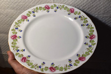 Aynsley bone China plate RARE vintage used fl...