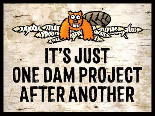 IT'S JUST ONE DAM PROJECT AFTER ANOTHER Funny Beaver 12x17" Tin Sign Decor - Picture 1 of 1