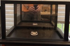 Black Or Brown Wood Glass Football Display Cases Mirror Back 13”X 8”X 8”