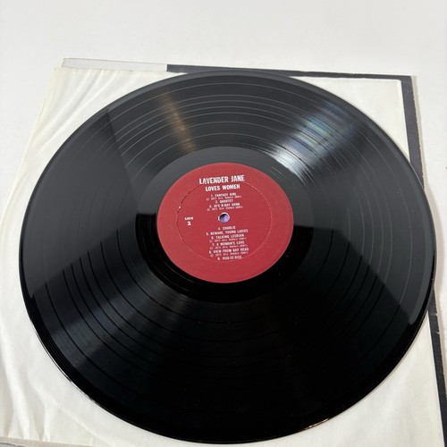 Lavender Jane Loves Women 1975 LP Vintage Feminism Lesbian Vinyl Record Reissue - Picture 5 of 10