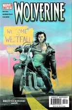 WOLVERINE #3 (2003) GREG RUCKA / DARICK ROBERTSON ~ ESAD RIBIC COVER ~ NM 9.0