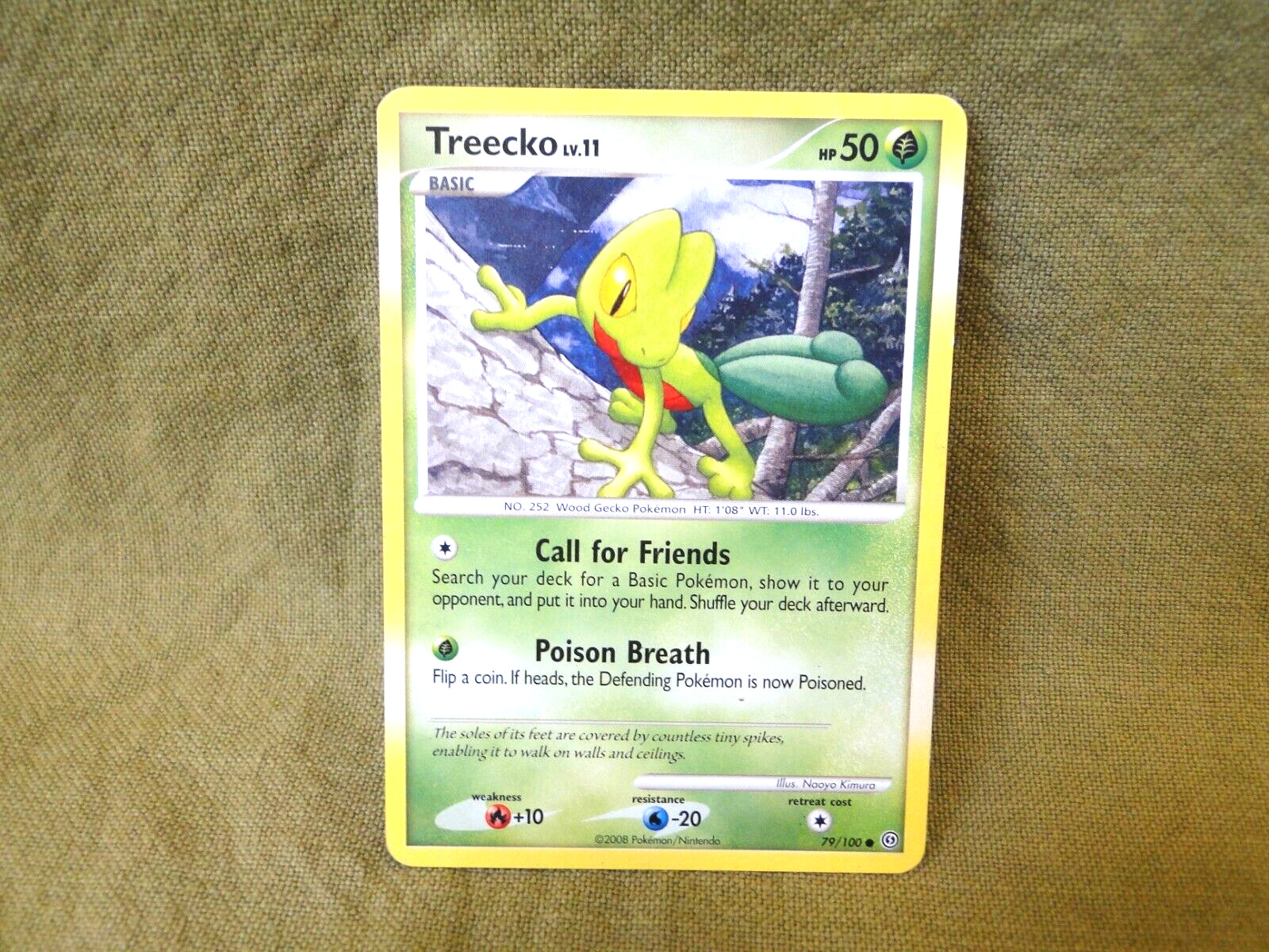 Pokemon Trading Card - Stormfront: Treecko LV.11 79/100