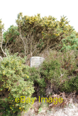Photo 6x4 Hidden path marker on Godlingston Heath Studland These markers  c2007