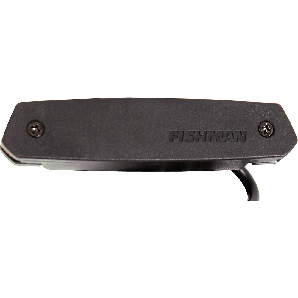 Fishman Pro-Neo-D01 7590₽