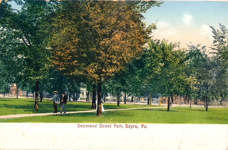DESMOND STREET PARK, SAYRE, PA. HOUSES IN BACK. MEN & WOMEN SUNDAY FINEST. UDB.