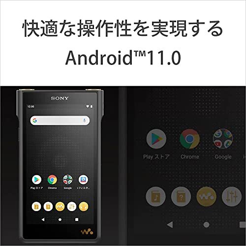 SONY NW-WM1AM2 WALKMAN 128GB WM1 Series Hi-Res Android 11 Black - Picture 8 of 12