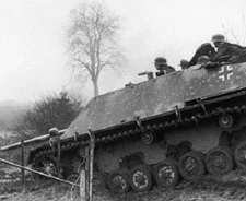 German Panzer IV70 Tank Destroyer 8"x 10" World War II WW2 Photo Picture 20