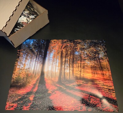 Jigsaw Puzzle First Light Forest Morning streaming sun