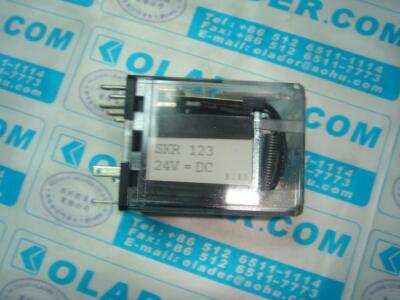 1pcs New ELESTA SKR123 DC24V #A6-9