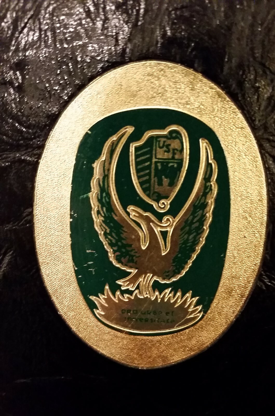 Picture 1 of 6